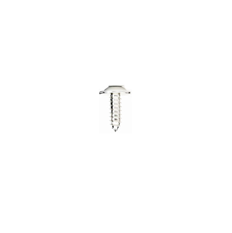 OEM ss304 self tapping screws